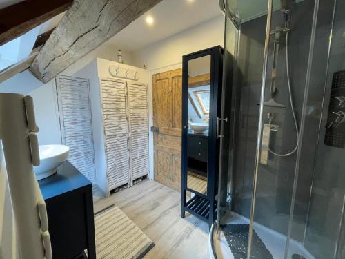 un bagno con doccia e lavandino di Lime Tree Farmhouse a Saint-Saud-Lacoussière
