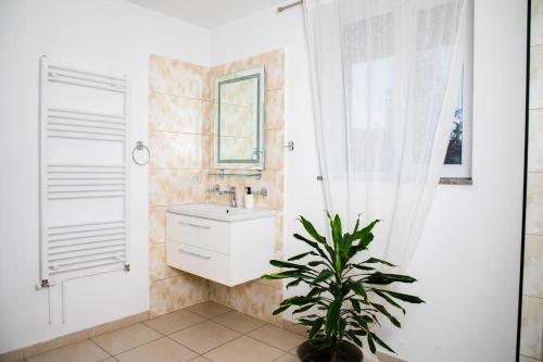 un bagno con lavandino, specchio e pianta di Random House a Braşov