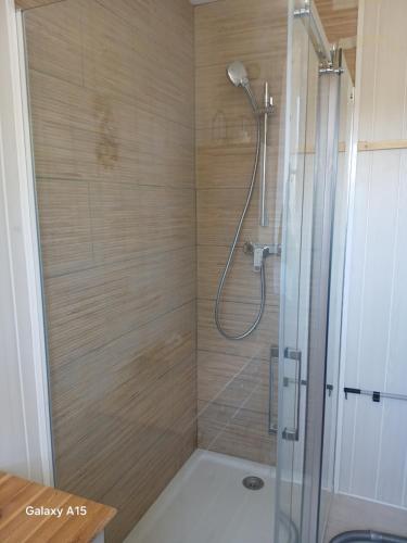 ein Badezimmer mit Dusche mit Glastür in der Unterkunft Bougard in Champagné