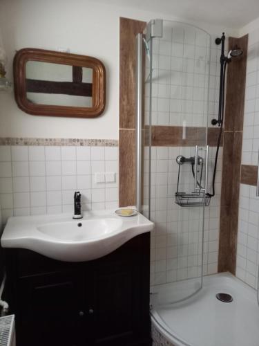 un bagno con lavandino e doccia di Kleine Auszeit für nette Leute a Grebenhain