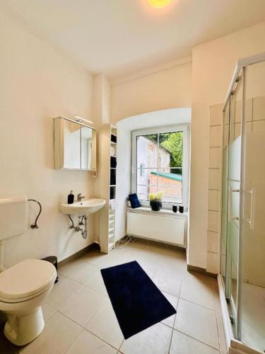 a bathroom with a toilet and a sink and a window at White Oak Loft in Schottwien