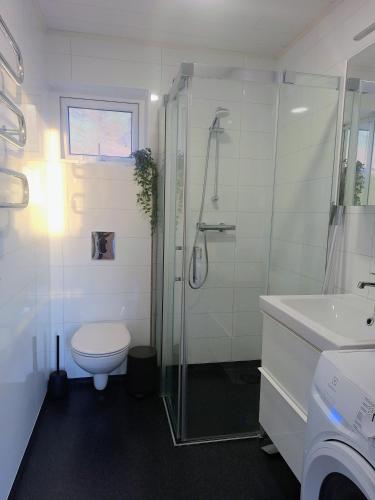 ein Badezimmer mit Dusche, Toilette und Waschbecken in der Unterkunft Oddnýjarhús - Entire Private Peaceful Cottage in Nature in Höfn