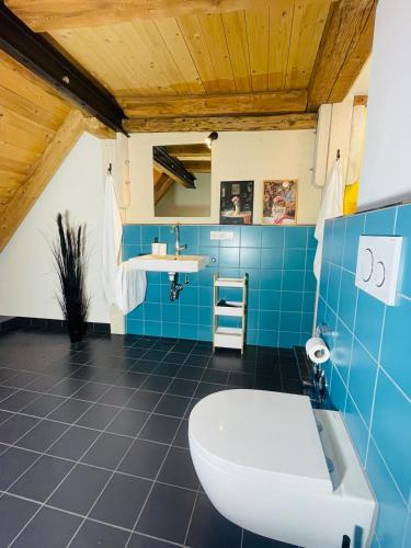 a bathroom with a toilet and a sink at Schwarzwald Mauer Loft in Bräunlingen