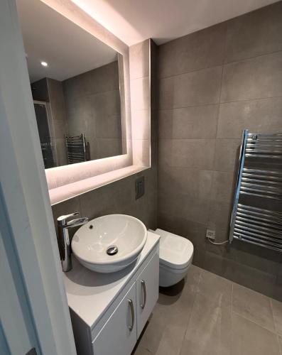a bathroom with a sink and a toilet and a mirror at Cosy flat that feels just like home in Leavesden Green