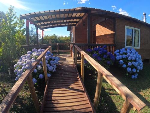 Ein Garten an der Unterkunft Cabañas el rincón de Colbún