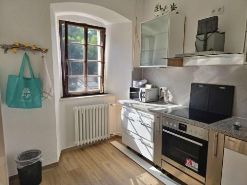 een keuken met een spoelbak en een fornuis bovenste oven bij Kloster Marienthal in Marienthal