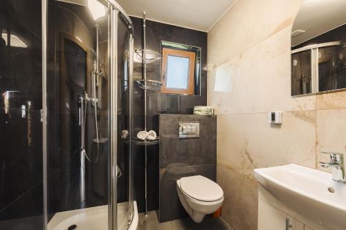 a bathroom with a shower and a toilet and a sink at Agroturystyka Monte Luna - Domki in Czarnów