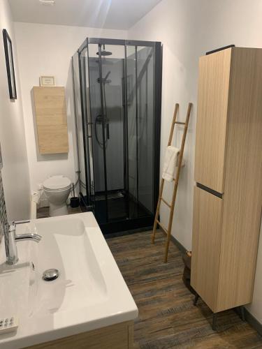 a bathroom with a shower and a sink and a toilet at Val et Mer House in Ault