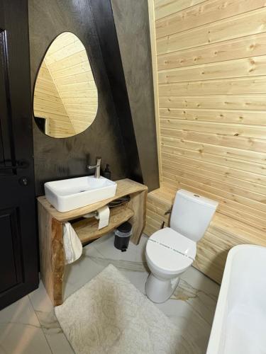 un bagno con un water bianco e un lavandino di Black Chalet 2 a Vârtop