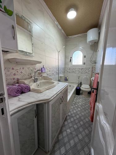 a bathroom with a sink and a toilet at Classic Seaview in Alexandria