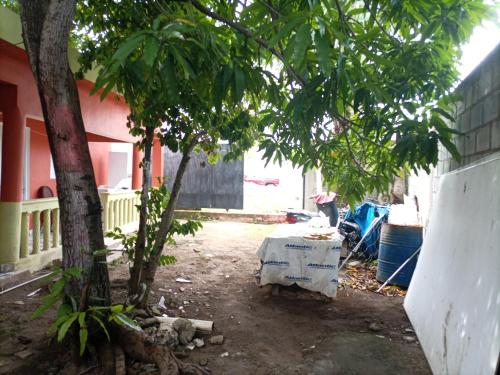 einen Tisch in einem Garten neben einem Baum in der Unterkunft Cabeza De Toro, Locales in Punta Cana