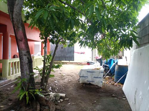 a yard with a table and trees in front of a house at Cabeza De Toro, Locales in Punta Cana