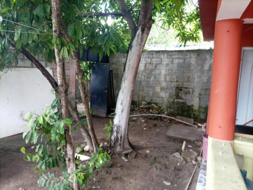 Galeriebild der Unterkunft Cabeza De Toro, Locales in Punta Cana