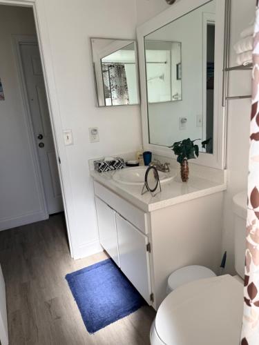 een badkamer met een wastafel en een spiegel bij Dos alcobas, entrada independiente in Kissimmee