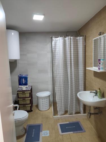 a bathroom with a shower and a toilet and a sink at Sunny Pine Apartment Mavrovo in Mavrovo
