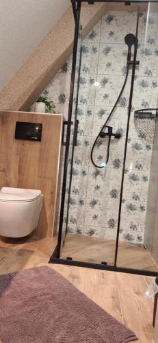 a bathroom with a shower and a toilet at Przy Potocku in Czarna Góra