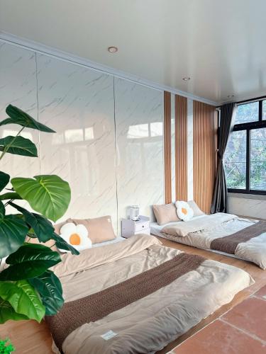 a bedroom with two beds and a plant at Holly House Mộc Châu in Mộc Châu