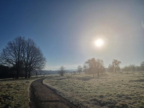 Naturlandskabet i nærheden af lejligheden