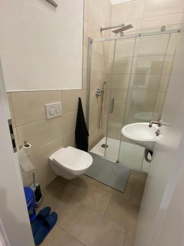 a bathroom with a shower and a toilet and a sink at RadlerOase am Donauradweg in Heufelden