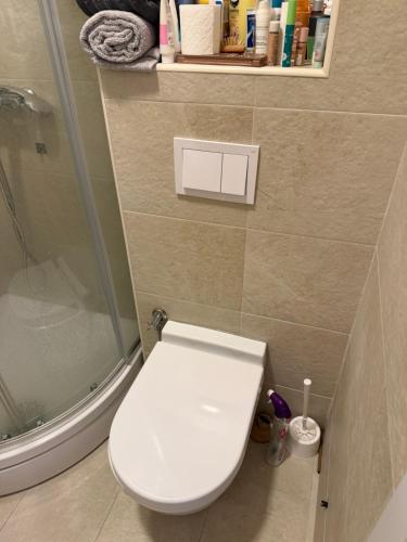 a bathroom with a white toilet and a shower at Vivienne Apartment in Kavač
