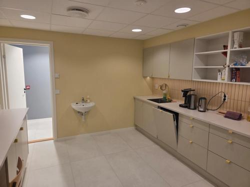 a large kitchen with a sink and a counter at Aurora Andøya Suites in Andøya