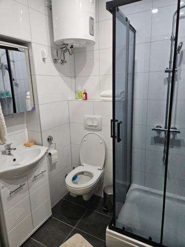 a bathroom with a toilet and a sink and a shower at Apartment Antonia in Selce