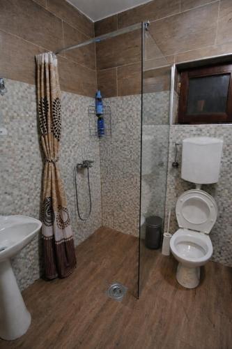 a bathroom with a shower with a toilet and a sink at Weekendaya in Kladovo