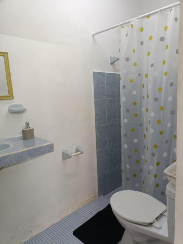 a bathroom with a toilet and a shower at Casa Polito in Izamal