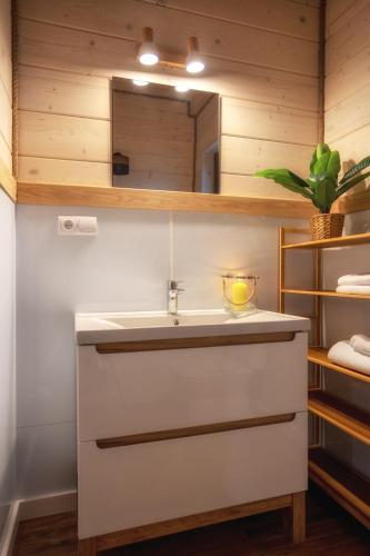 a bathroom with a sink and a mirror at Sielski Spokój Gietrzwałd in Gietrzwałd