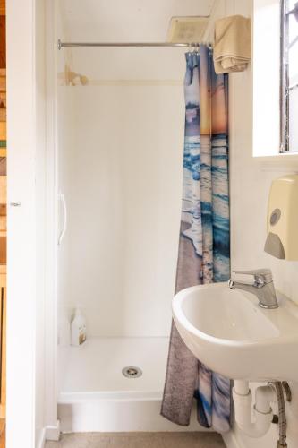 a bathroom with a sink and a shower at Bay of Islands Lodge in Paihia