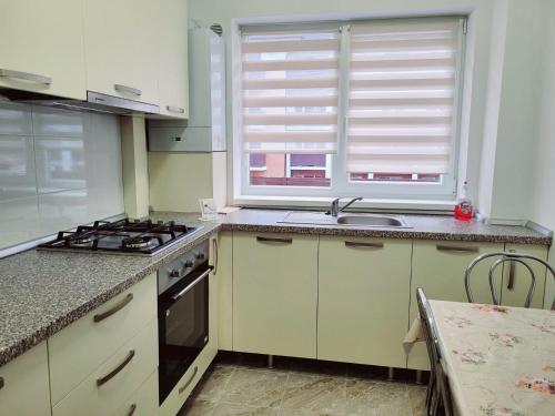 a kitchen with a stove and a sink and two windows at Double rooms apartament in Sînpetru
