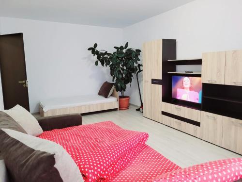 a living room with a couch and a tv at Double rooms apartament in Sînpetru