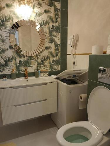 a bathroom with a toilet and a sink and a mirror at Apartament Green Tara in Oradea