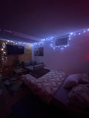 een slaapkamer met een bed, een bank en verlichting bij Apartman A&J 2 in Žabljak