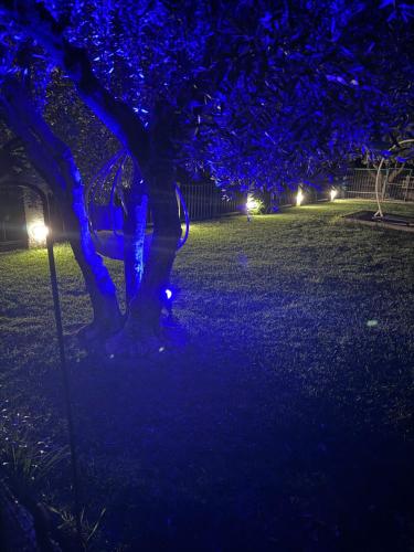 Een tuin van Casa Elia AXD