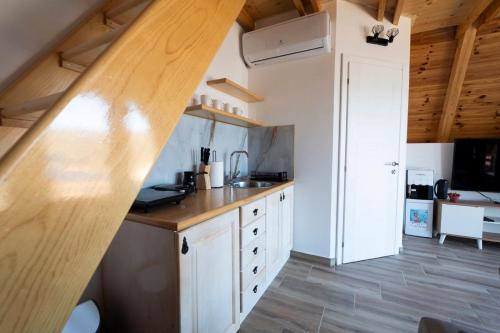 Køkken eller tekøkken på Apartmani Janjusevic