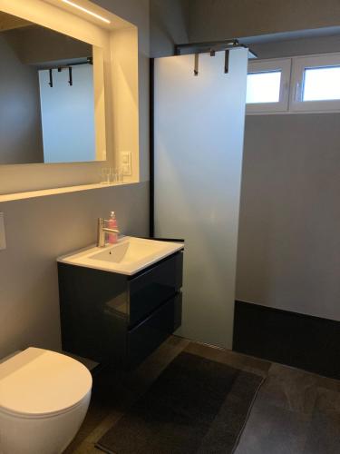 a bathroom with a toilet and a sink and a mirror at Hagens Cottage in Wanfried