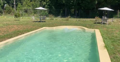 een zwembad met een fontein in een tuin bij Cabañas Ruta Lacustre in Licán Ray