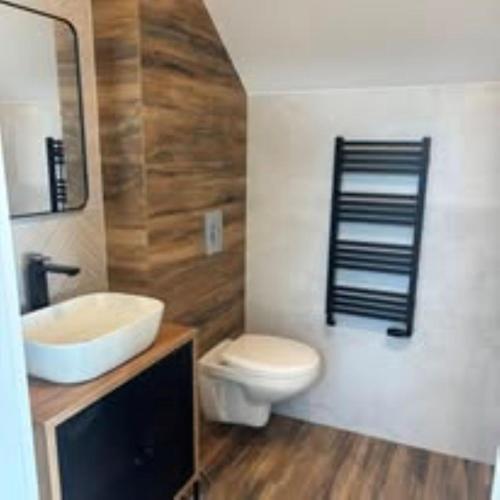a bathroom with a sink and a toilet and a mirror at BeskidView Meszna 1 in Meszna