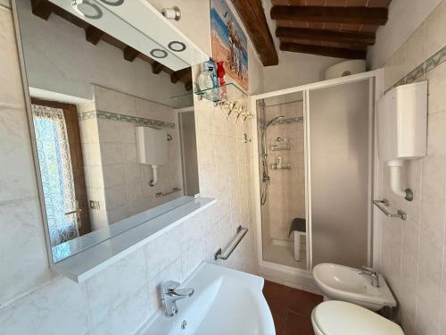 a bathroom with a sink and a toilet and a mirror at Podere Boschetto Moroni in Massa Marittima