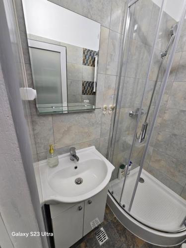 a bathroom with a sink and a shower at AchiDav 135 in Onești