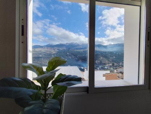 Una ventana con una planta en una habitación con vistas. en Casa Cisca, en Quesada