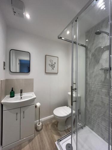 a bathroom with a shower and a toilet and a sink at Modern 2 Bed Apartment, Secure Parking, Central in Hemel Hempstead
