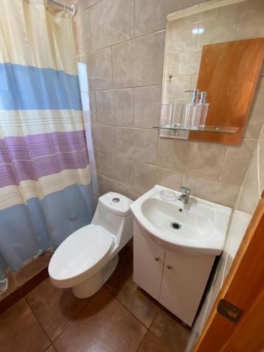 a bathroom with a toilet and a sink at Cabaña Palmas de Tunquen in Tunquén