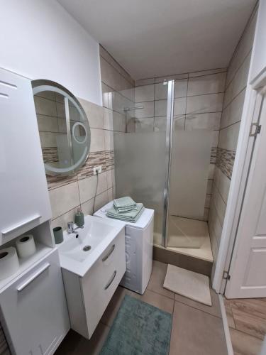 a white bathroom with a shower and a sink at Art Nouveau Aparthotel in Oradea