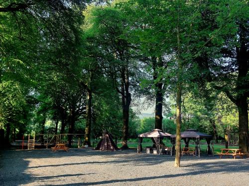 En have udenfor Ballyhoura Farm Escape Experience with Alpacas & Fairy Forest