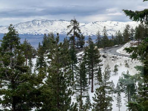 a road in the snow with trees and snow covered mountains at Mountain Serenity, near Ski, Golf, Casino, Lake in Stateline