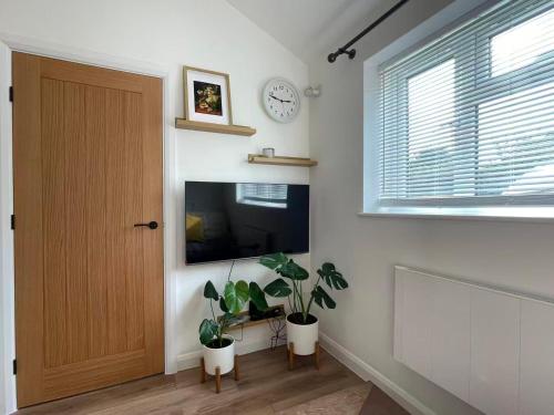 a room with a television and two potted plants at Modern, Brand-new Detached House in Oxford