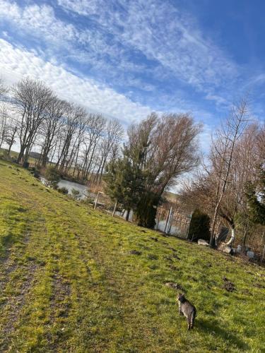 Afbeelding uit fotogalerij van Pond Cabin 