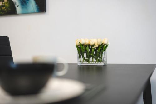 New - MiJa basement Loft Apartment steps from Beach - perfect for Sun and Sport Seekers photo 60